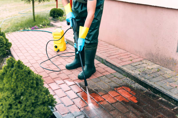 Best Soft Washing  in Pinckney, MI